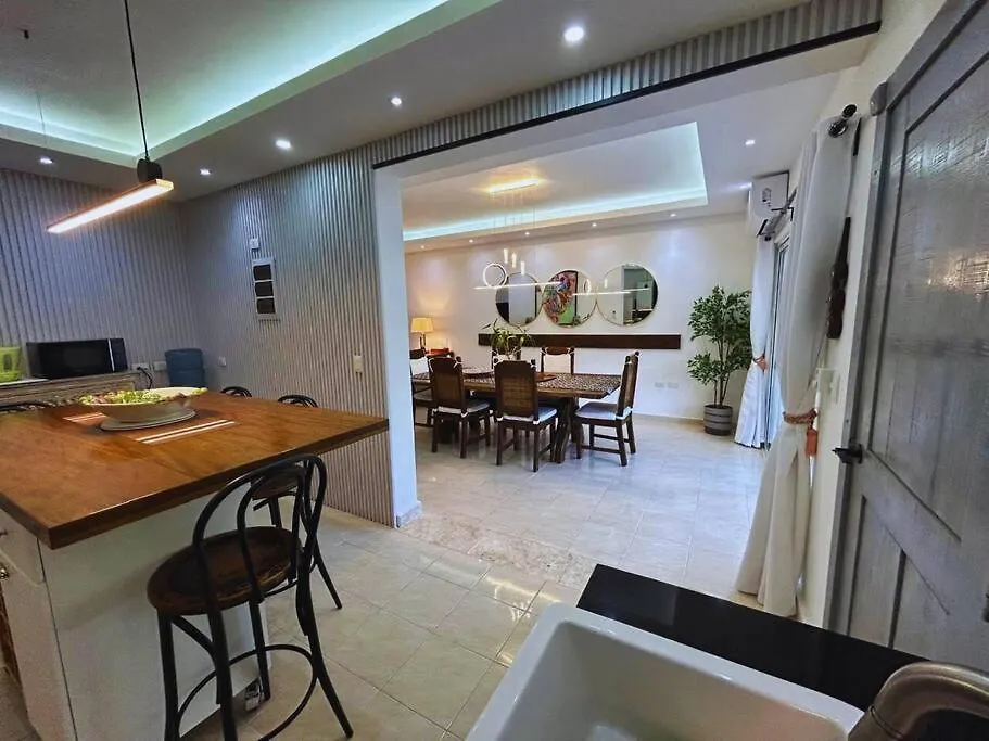 Villa Elisa 4Br With Pool Jacuzzi & Bbq Punta Cana