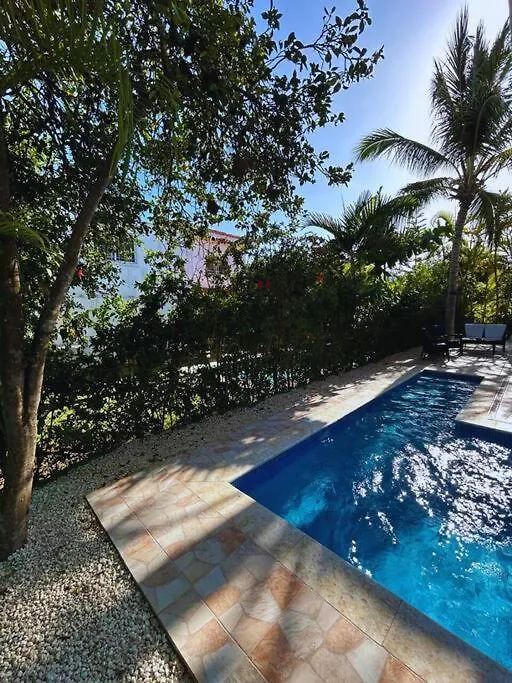 Villa Elisa 4Br With Pool Jacuzzi & Bbq Punta Cana 0*,