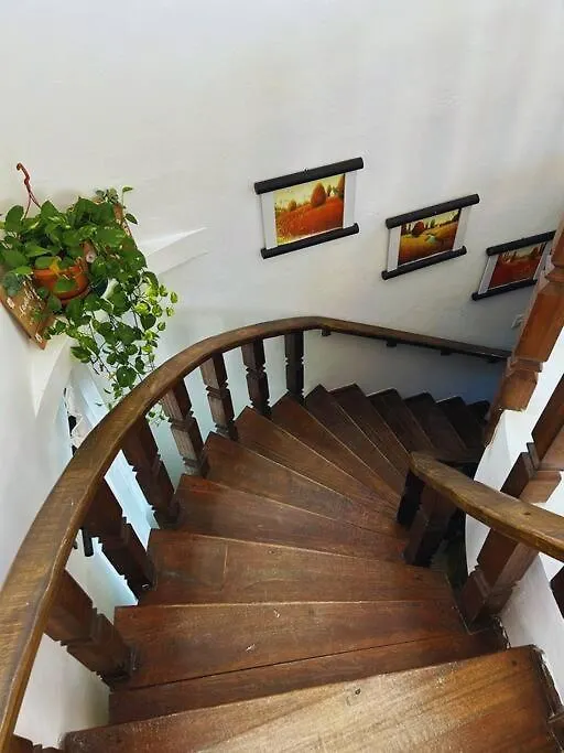 Villa Elisa 4Br With Pool Jacuzzi & Bbq 푼타 카나 도미니카 공화국